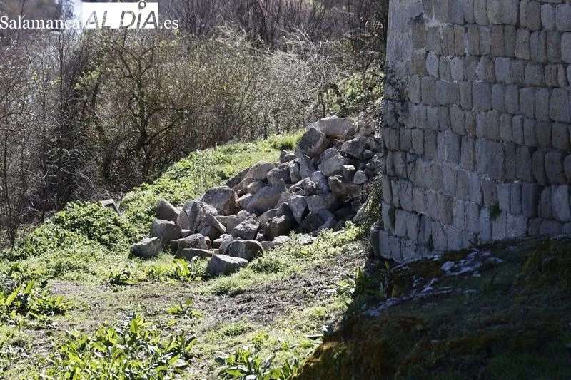 El consejero de Cultura, Turismo y Deporte, Gonzalo Santonja, visita la muralla de Ledesma tras el derrumbe de un tramo. Fotos: David Sañudo