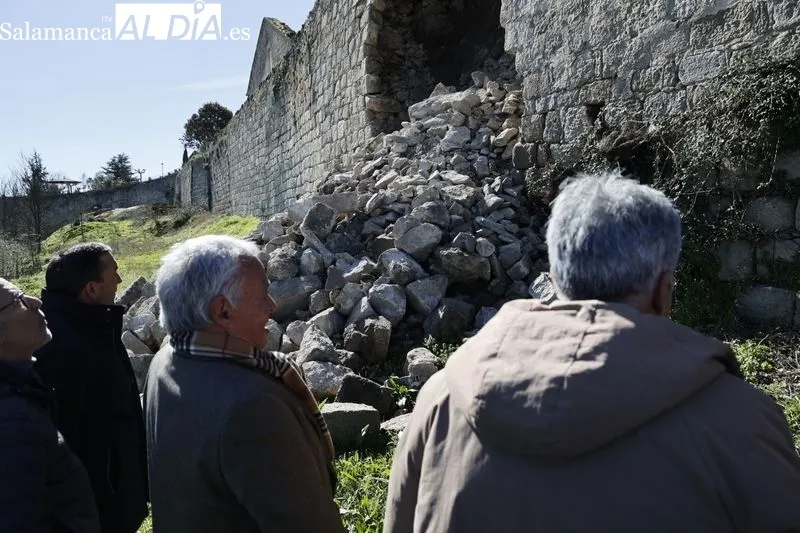 El consejero de Cultura, Turismo y Deporte, Gonzalo Santonja, visita la muralla de Ledesma tras el derrumbe de un tramo. Fotos: David Sañudo