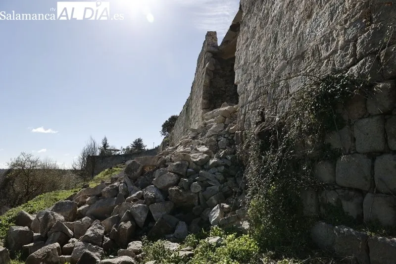 El consejero de Cultura, Turismo y Deporte, Gonzalo Santonja, visita la muralla de Ledesma tras el derrumbe de un tramo. Fotos: David Sañudo