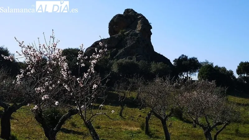 Grupos de amigos y familias al completo disfrutaron de la comida en el paraje de la Peña Redonda