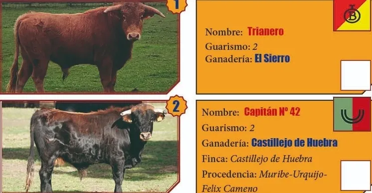 Foto 3 - Cuatro salmantinos entre los 10 finalistas del Bols&iacute;n Taurino 2024