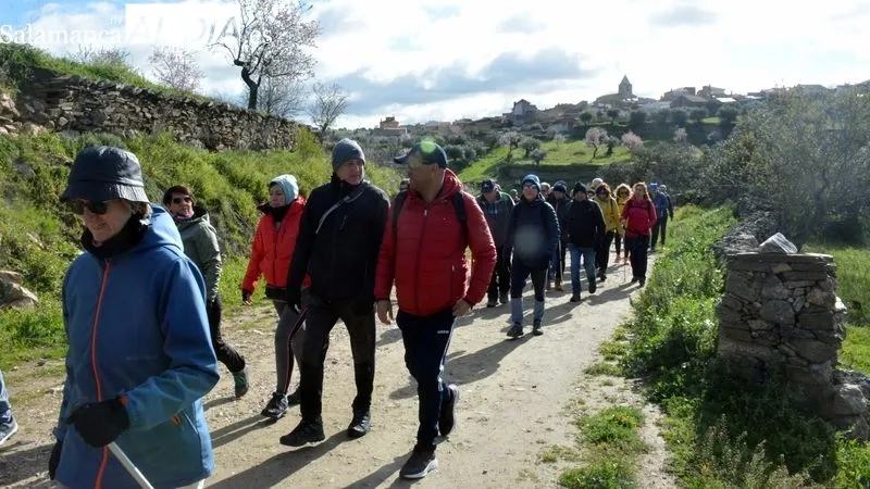 Foto 3 - M&aacute;s de doscientos senderistas disfrutan de la floraci&oacute;n del almendro en La Fregeneda