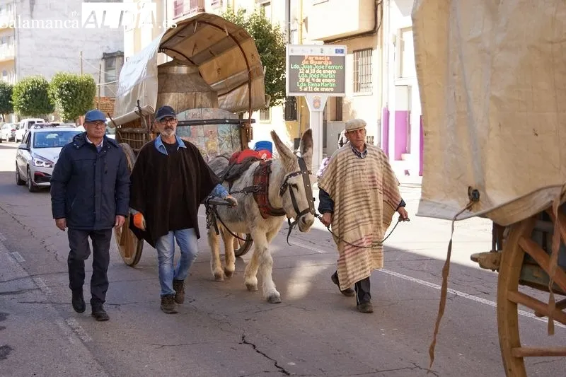 Arrieros de  ACASAN en Guijuelo. Foto de David Sañudo