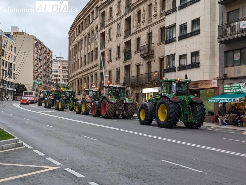 Tractores por el paseo de Canalejas esta tarde