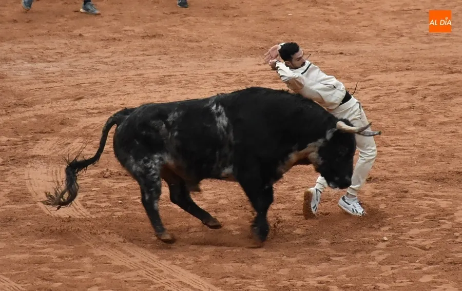 Foto 3 - Ram&oacute;n Sastre acaba manteado en el transcurso de la &uacute;ltima capea