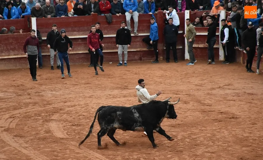 Foto 4 - Ram&oacute;n Sastre acaba manteado en el transcurso de la &uacute;ltima capea