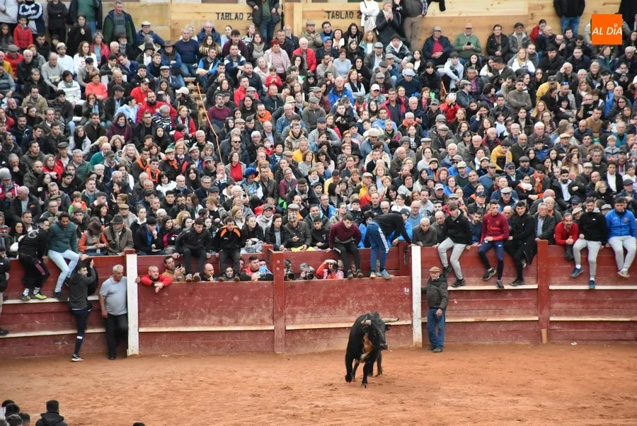 Foto 5 - Ram&oacute;n Sastre acaba manteado en el transcurso de la &uacute;ltima capea