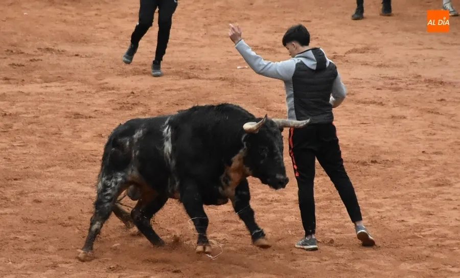 Foto 7 - Ram&oacute;n Sastre acaba manteado en el transcurso de la &uacute;ltima capea