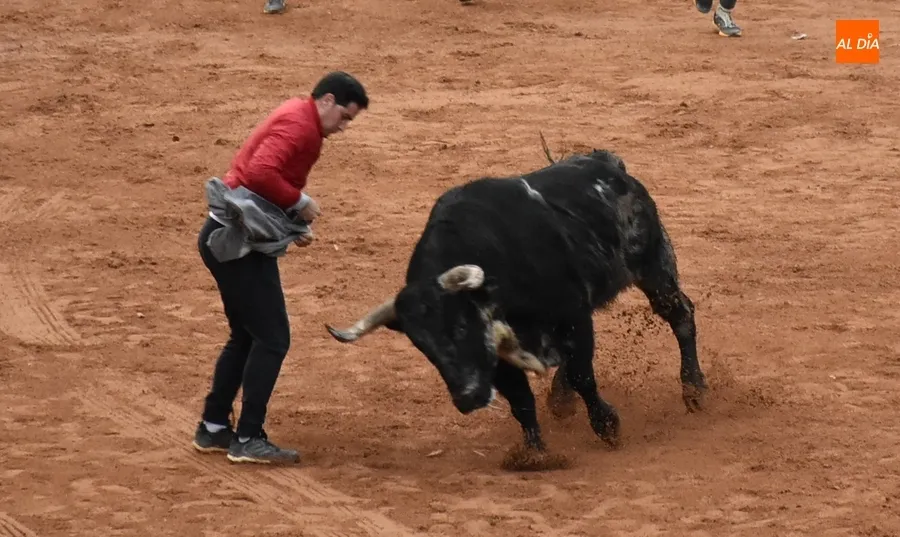 Foto 9 - Ram&oacute;n Sastre acaba manteado en el transcurso de la &uacute;ltima capea