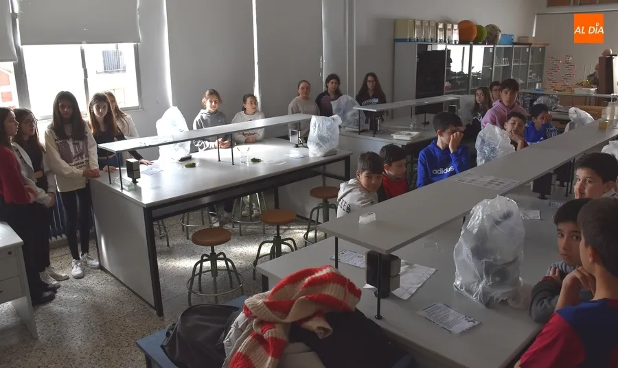Foto 2 - Completadas las visitas de los alumnos de 6&ordm; de Primaria a los IES mirobrigenses