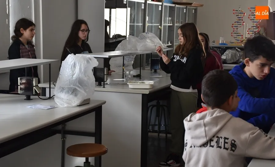 Foto 4 - Completadas las visitas de los alumnos de 6&ordm; de Primaria a los IES mirobrigenses
