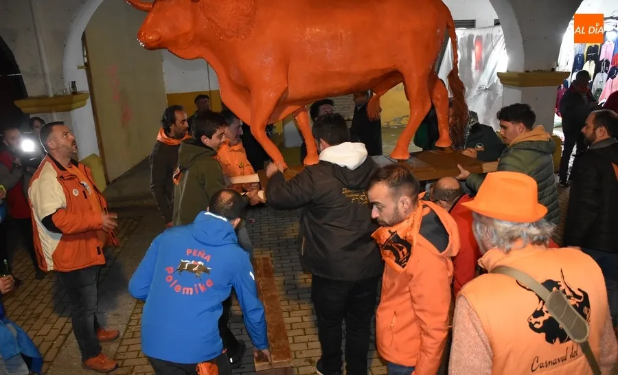 Foto 11 - El multitudinario Pasacalles de Cenizos cierra con nuevo formato el Carnaval del Toro 2024
