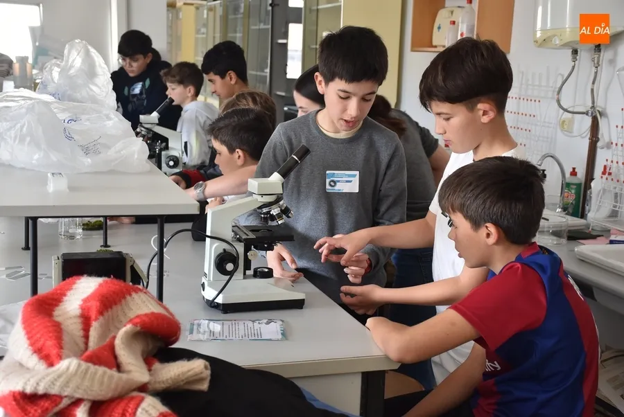 Foto 5 - Completadas las visitas de los alumnos de 6&ordm; de Primaria a los IES mirobrigenses