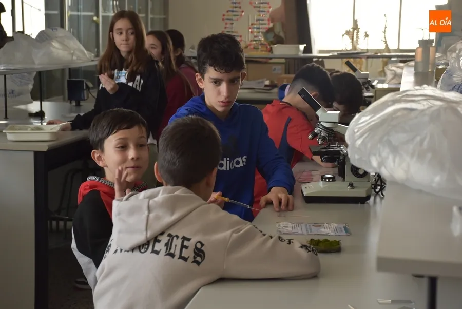 Foto 6 - Completadas las visitas de los alumnos de 6&ordm; de Primaria a los IES mirobrigenses