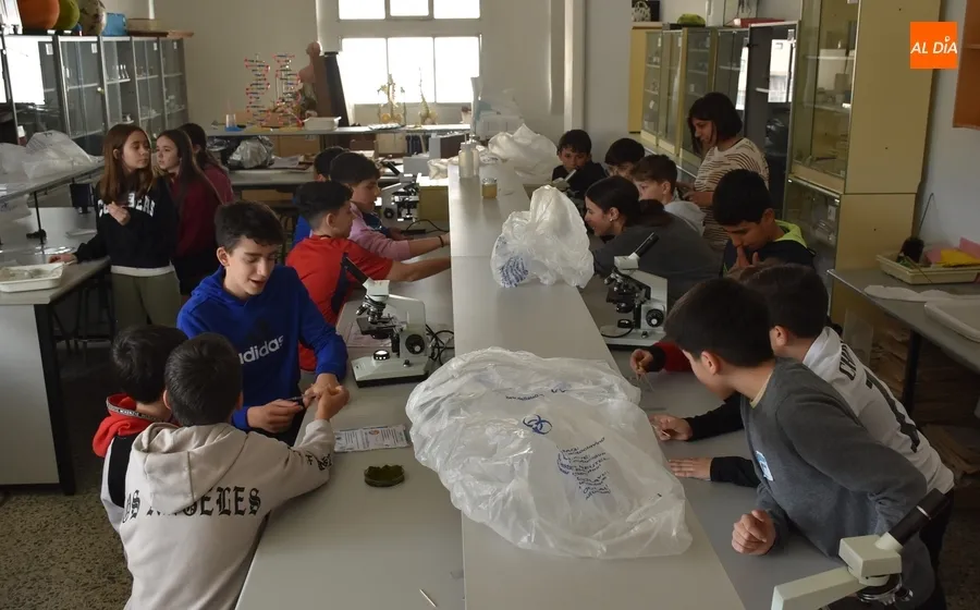Foto 7 - Completadas las visitas de los alumnos de 6&ordm; de Primaria a los IES mirobrigenses
