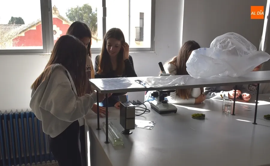 Foto 8 - Completadas las visitas de los alumnos de 6&ordm; de Primaria a los IES mirobrigenses