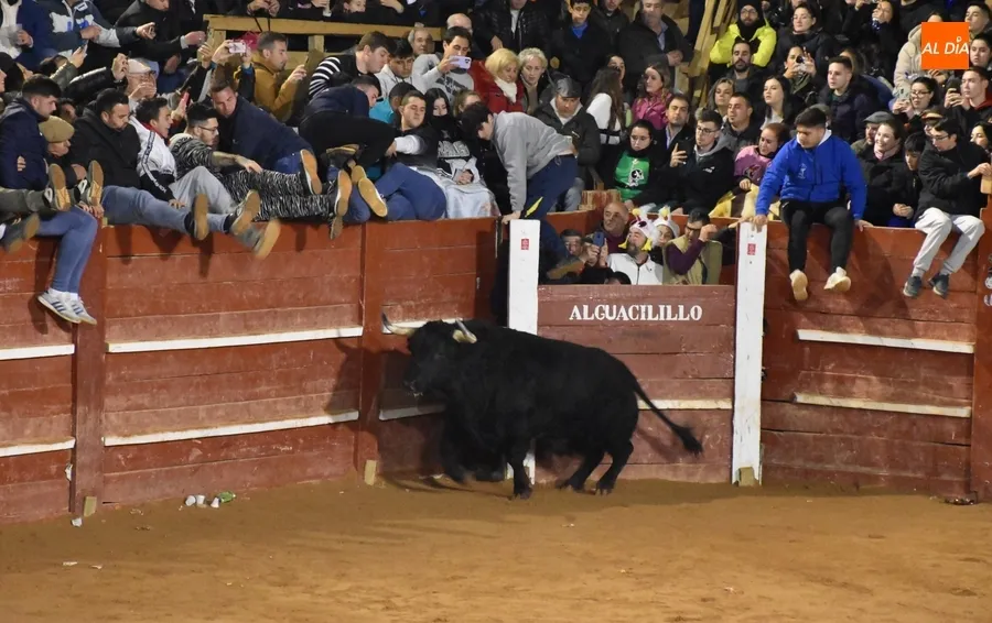 Foto 3 - Los astados de Los Bayones protagonizan a toda velocidad la noche del Lunes