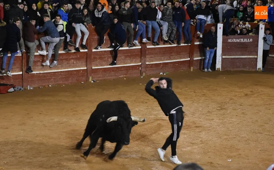 Foto 4 - Los astados de Los Bayones protagonizan a toda velocidad la noche del Lunes