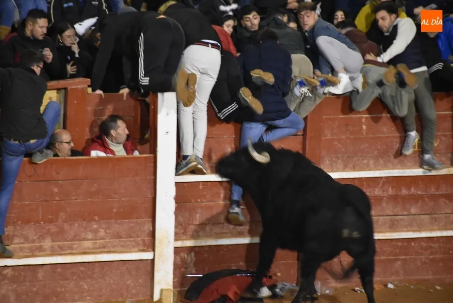 Foto 5 - Los astados de Los Bayones protagonizan a toda velocidad la noche del Lunes