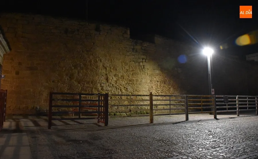 Foto 2 - El Carnaval tendr&aacute; un novedoso refuerzo de la iluminaci&oacute;n en puntos clave