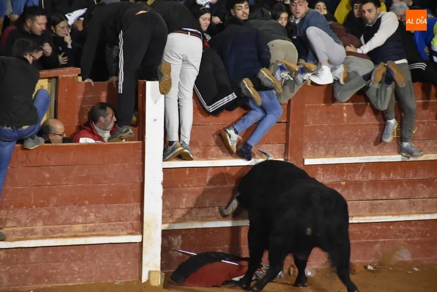 Foto 6 - Los astados de Los Bayones protagonizan a toda velocidad la noche del Lunes