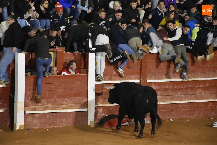 Foto 7 - Los astados de Los Bayones protagonizan a toda velocidad la noche del Lunes
