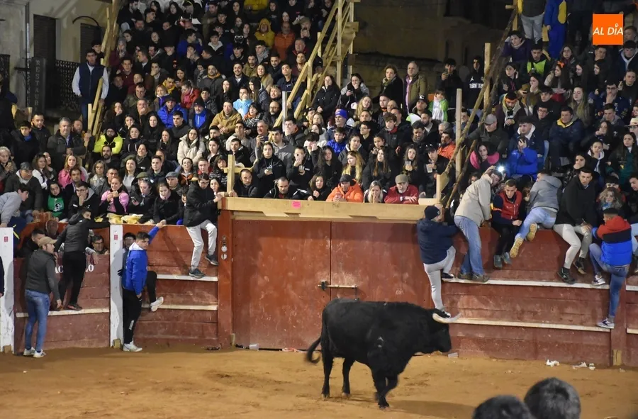 Foto 9 - Los astados de Los Bayones protagonizan a toda velocidad la noche del Lunes