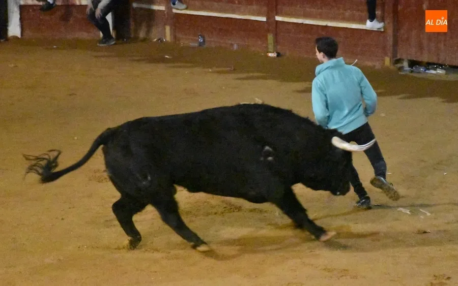 Foto 10 - Los astados de Los Bayones protagonizan a toda velocidad la noche del Lunes