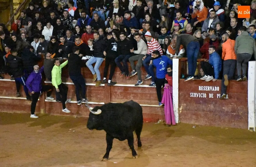 Foto 11 - Los astados de Los Bayones protagonizan a toda velocidad la noche del Lunes