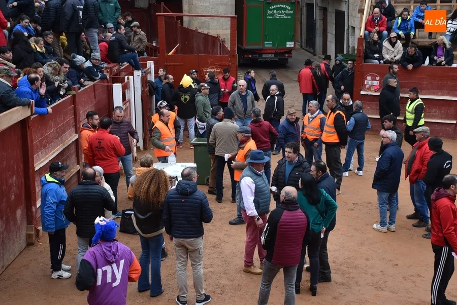 Toro del Aguardiente Carnaval Ciudad Rodrigo