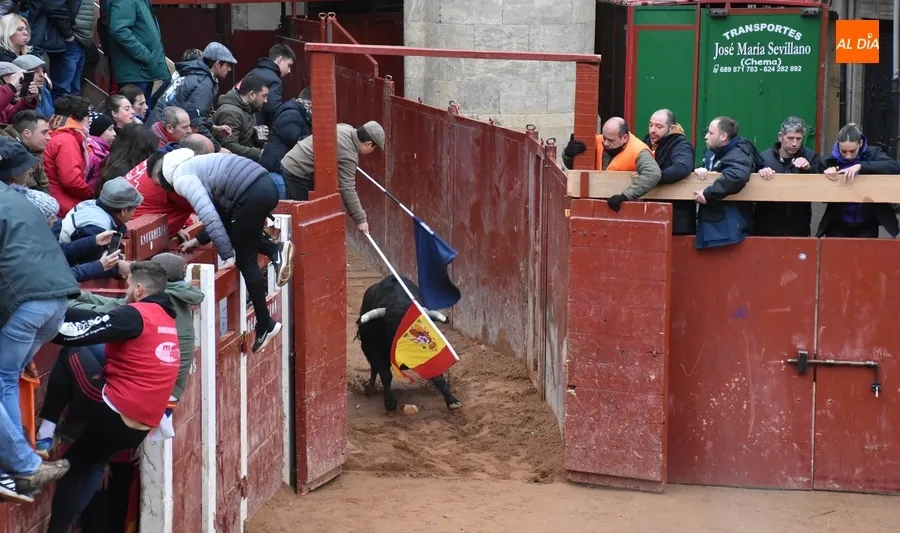 Toro del Aguardiente Carnaval Ciudad Rodrigo