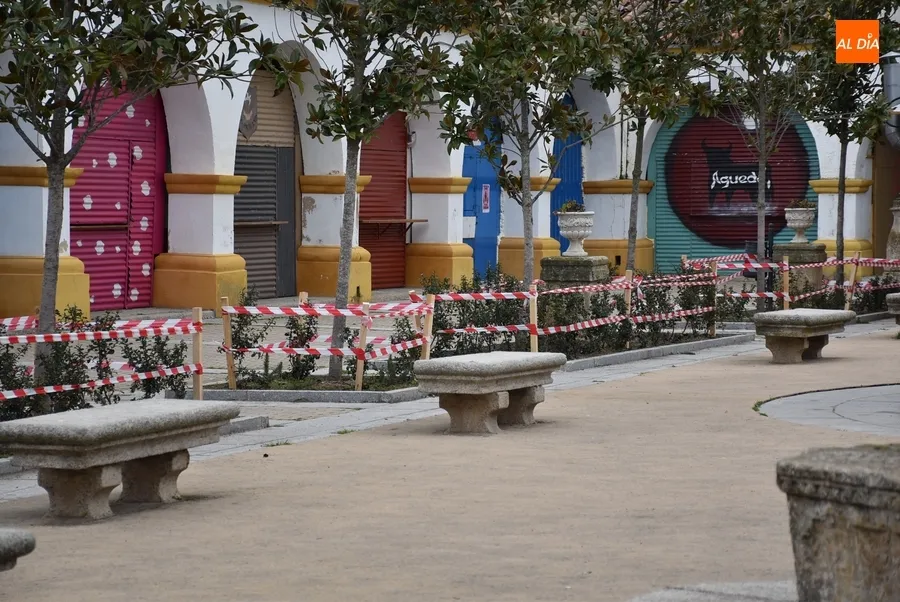 Foto 4 - Protegidos los alcorques de la Plazuela del Buen Alcalde para que no sean destrozados