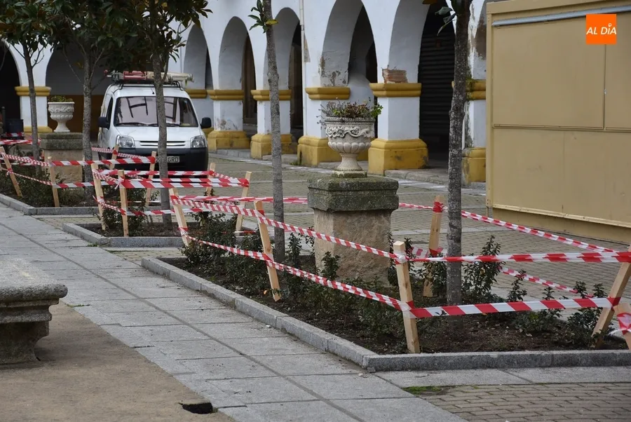 Foto 3 - Protegidos los alcorques de la Plazuela del Buen Alcalde para que no sean destrozados