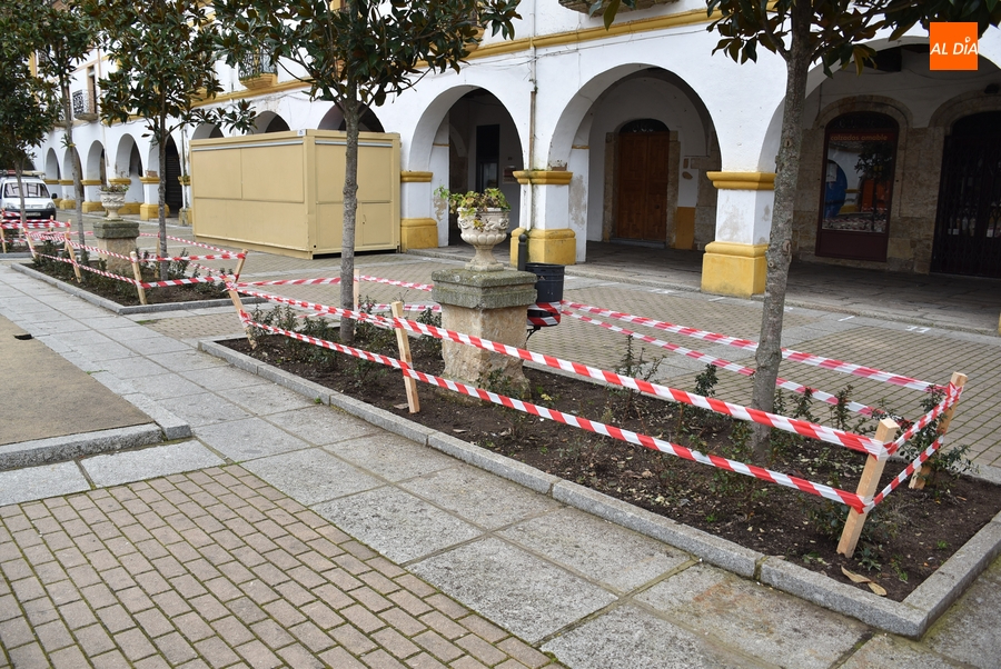 Foto 2 - Protegidos los alcorques de la Plazuela del Buen Alcalde para que no sean destrozados