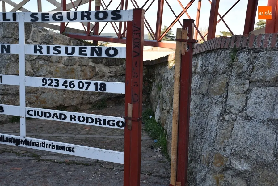 Foto 6 - Colocados en el Registro una puerta adicional, mallazo y listones de madera para la capea de Pi&ntilde;ata