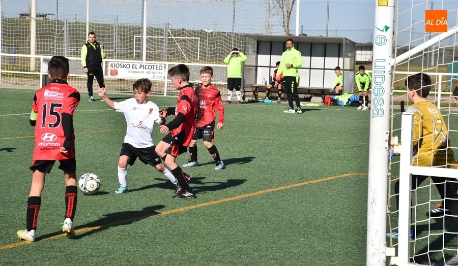 Foto 4 - #M [17-18 FEB] El Benjam&iacute;n del Ciudad Rodrigo se queda sin premio ante el Sporting Carbajosa