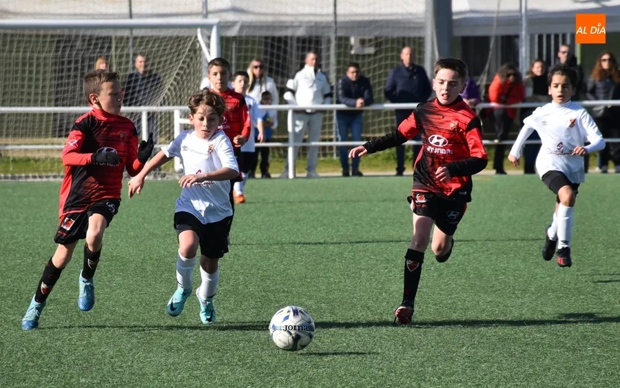 Foto 6 - #M [17-18 FEB] El Benjam&iacute;n del Ciudad Rodrigo se queda sin premio ante el Sporting Carbajosa