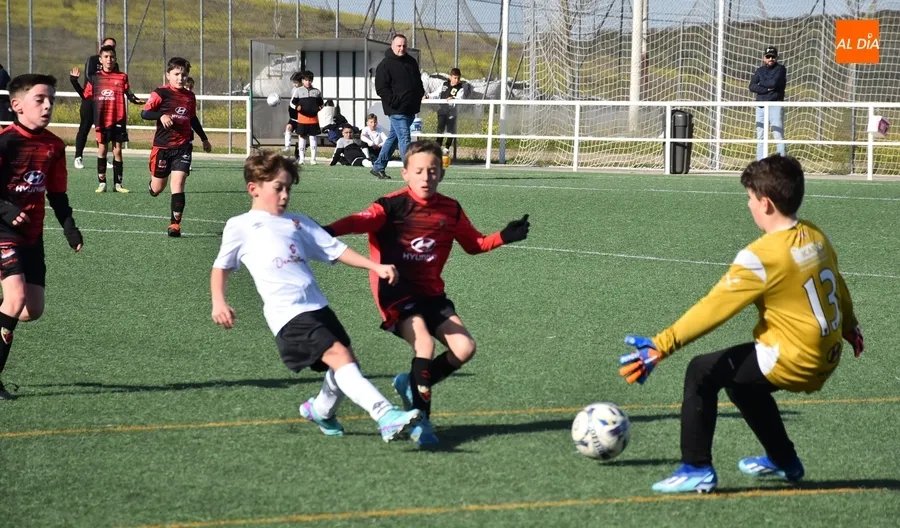 Foto 8 - #M [17-18 FEB] El Benjam&iacute;n del Ciudad Rodrigo se queda sin premio ante el Sporting Carbajosa