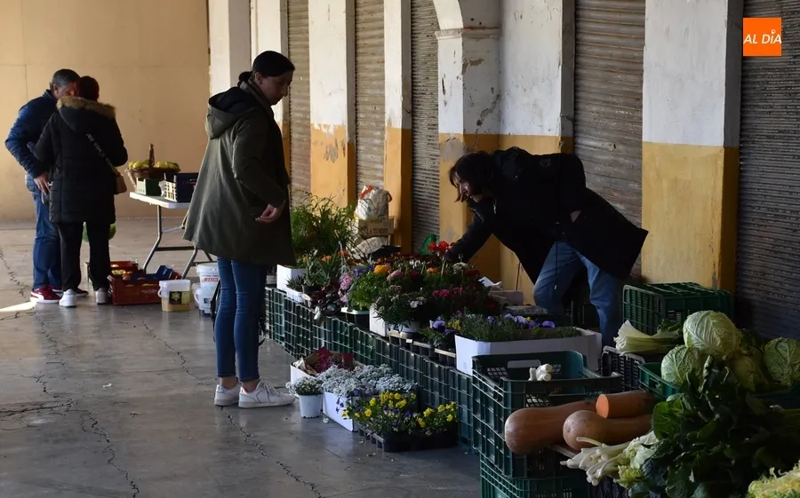 Foto 3 - El Mercado de los Martes retorna tras su &uacute;nica semana de par&oacute;n de todo el a&ntilde;o