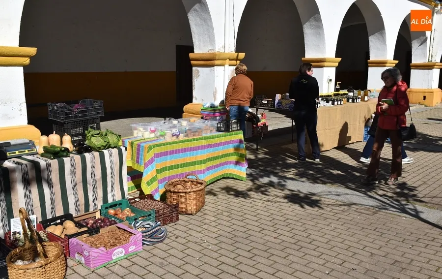 Foto 5 - El Mercado de los Martes retorna tras su &uacute;nica semana de par&oacute;n de todo el a&ntilde;o