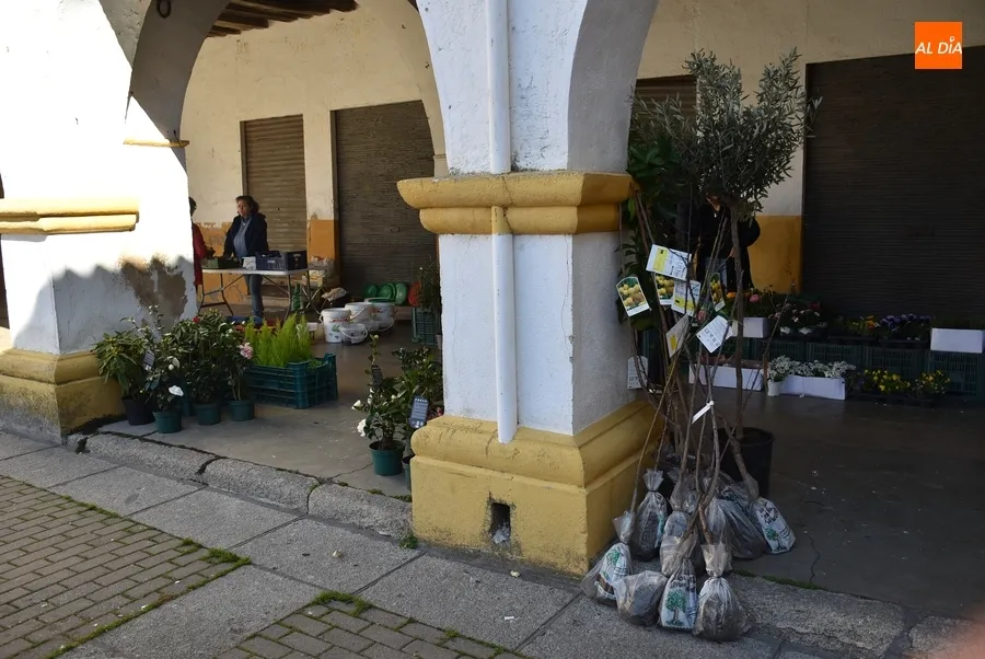 Foto 6 - El Mercado de los Martes retorna tras su &uacute;nica semana de par&oacute;n de todo el a&ntilde;o