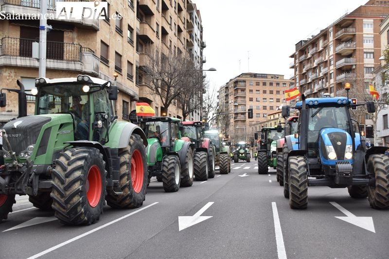 Agricultores y ganaderos en el centro de Salamanca | FOTOS: Vanesa Martins 