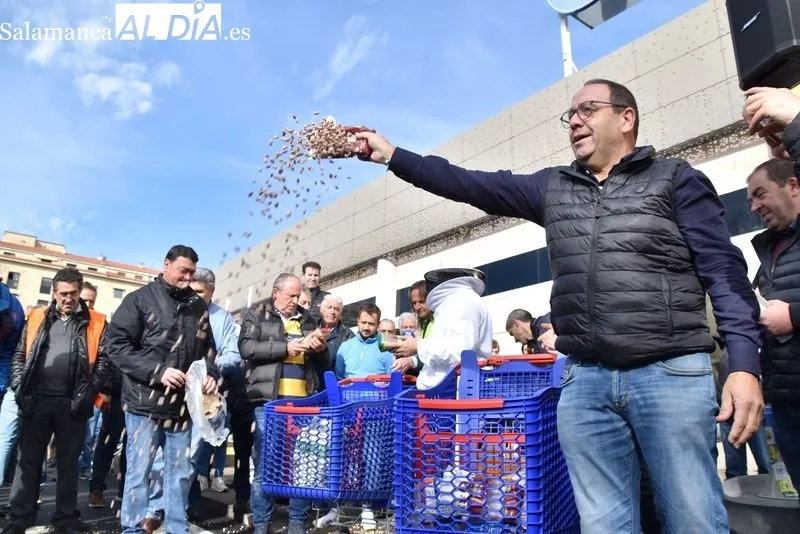 Los tractores vuelven a Salamanca para tomar la zona de Carrefour | FOTOS: Vanesa Martins 