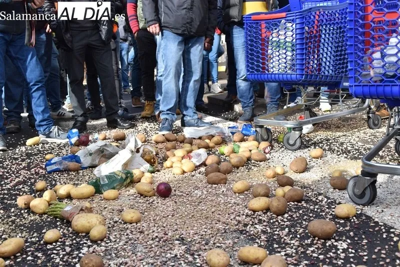 Los tractores vuelven a Salamanca para tomar la zona de Carrefour | FOTOS: Vanesa Martins 
