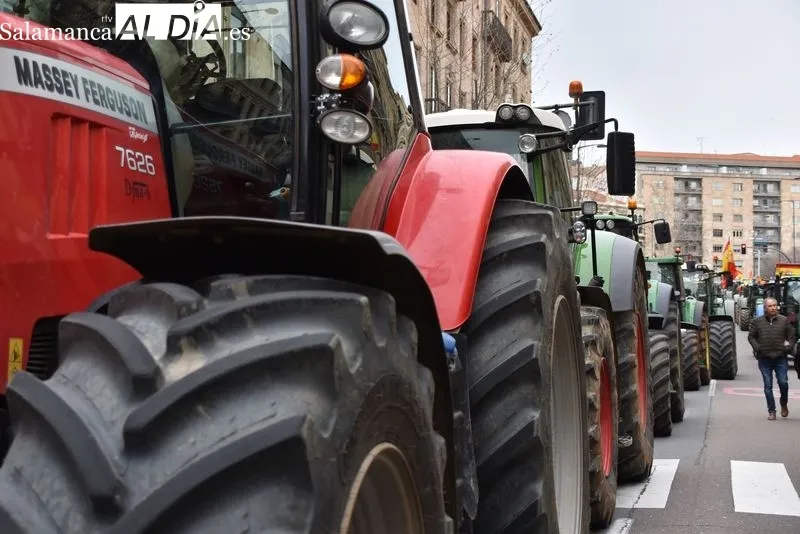 Agricultores y ganaderos en el centro de Salamanca | FOTOS: Vanesa Martins 