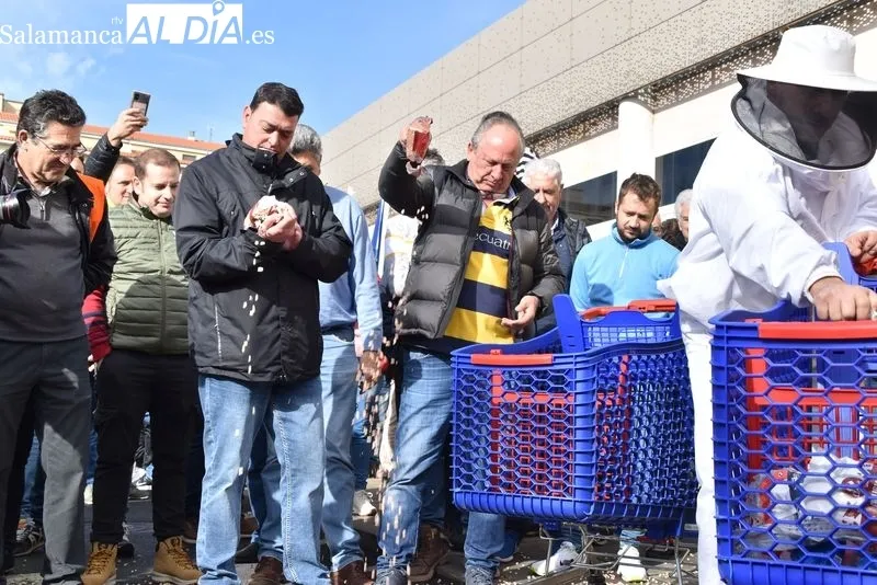 Los tractores vuelven a Salamanca para tomar la zona de Carrefour | FOTOS: Vanesa Martins 