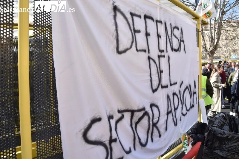 Los tractores vuelven a Salamanca para tomar la zona de Carrefour | FOTOS: Vanesa Martins 