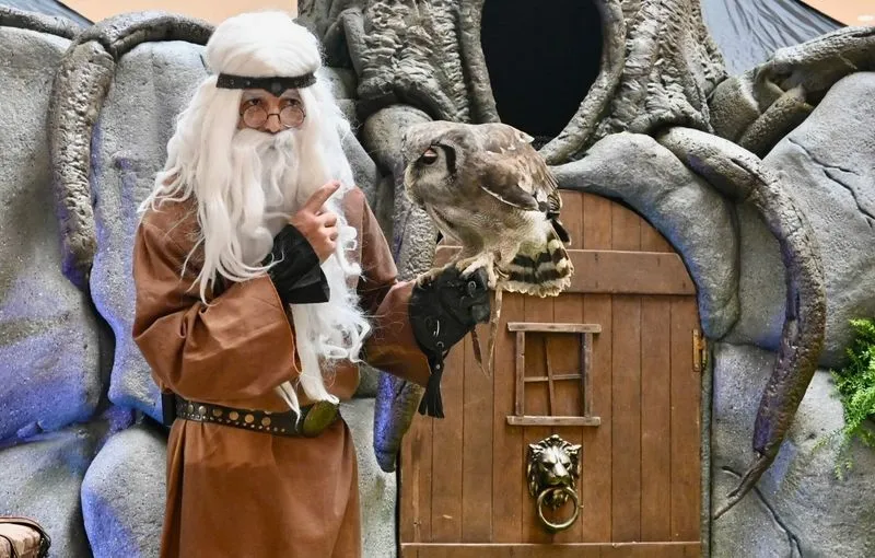 La actividad es conducida por el grupo Aviar, un equipo de naturalistas especializados en el arte de la cetrería