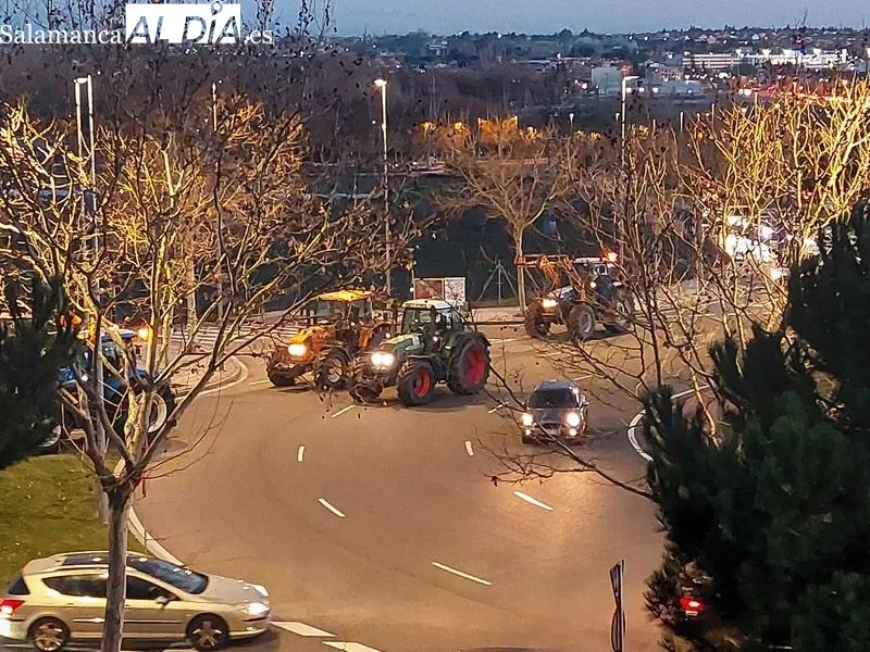 Tractores en la avenida Fernando III El Santo.