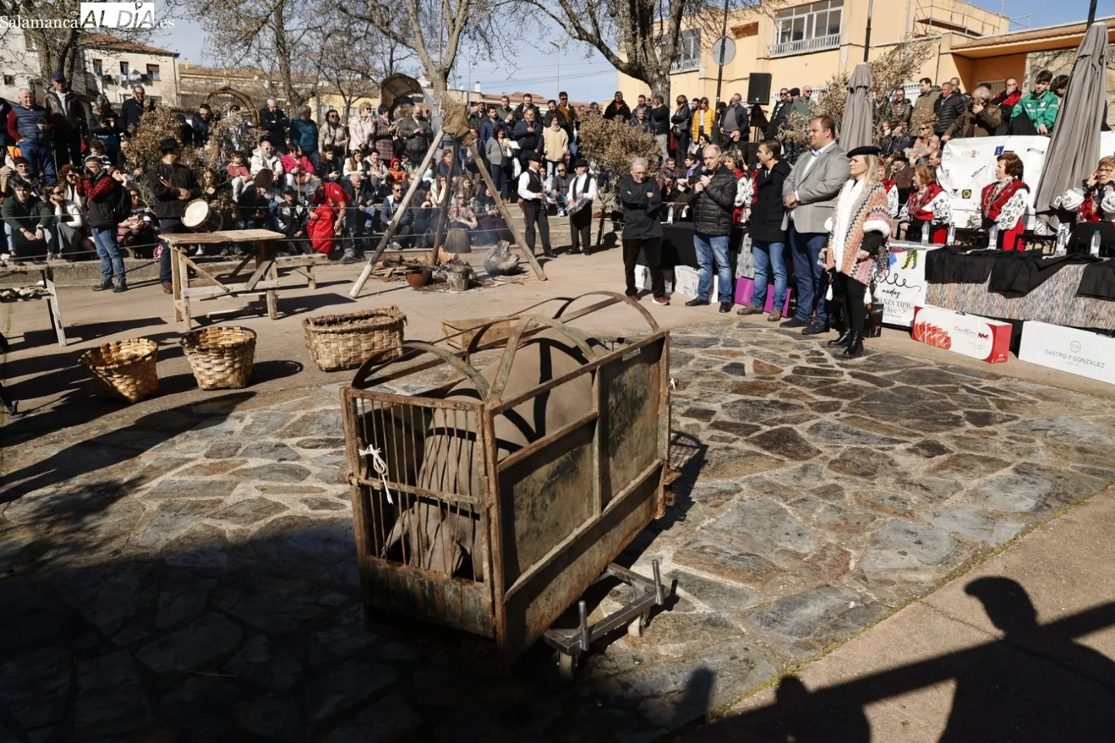 Matanza típica de Guijuelo. Fotos: David Sañudo.